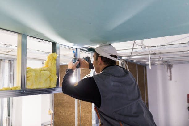 Types of Insulation We Offer in Hilltop, MN